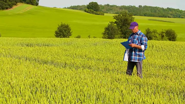 资深田间农民在剪贴板上写笔记，转基因小麦研究
