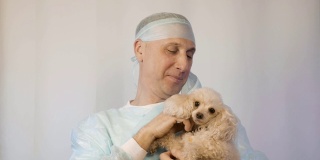 兽医抚摸一只小狗，在手术前安抚它。
