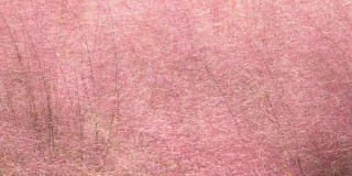 4k，粉色花朵抽象纹理背景。
