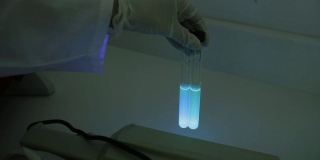 铜绿假单胞菌荧光试验
