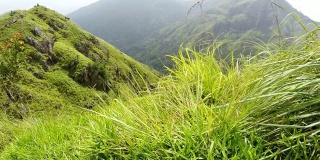 在小亚当峰的狭窄小径旁——斯里兰卡埃拉镇的热门景点。慢镜头风景如画的山脉镜头。