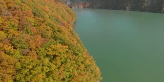 鸟瞰河俣湖和秋叶，日木，日本
