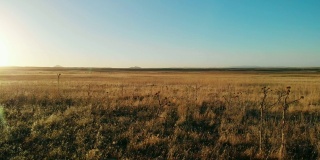 在日落/日出时，在犹他州晴朗的蓝天下，移动无人机拍摄的沙漠平原