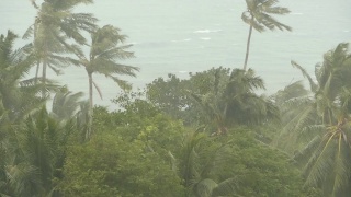 海滨景观在自然灾害飓风期间。强烈的旋风使椰子树摇摆。强热带风暴，自然力量，气候变化，台风海岸在雨季。视频素材模板下载