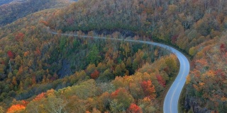 无人机俯瞰215高速公路上的秋叶。充满活力的黄色，橙色和红色在阿什维尔，北卡罗来纳州的蓝岭山脉。