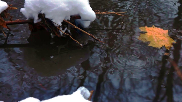 深秋。小溪里落下一片黄色的枫叶，岸边迎来了第一场雪