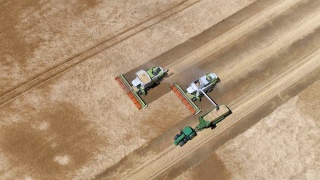 联合收割机在小麦收获期间工作视频素材模板下载