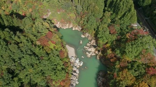 鸟瞰图木川河和木川温泉的秋天树叶，日光，日本视频素材模板下载