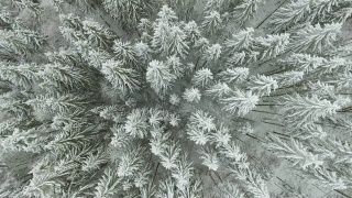 冬天的山。农村景观。树被雪覆盖着。新年快乐视频素材模板下载