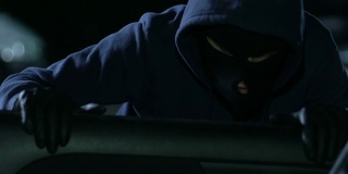 窃贼从开着的车上偷笔记本电脑，粗心的主人忘记打开报警器