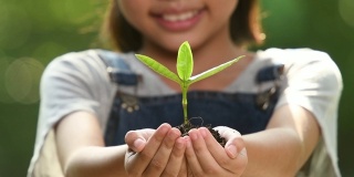 小女孩抱着小植物