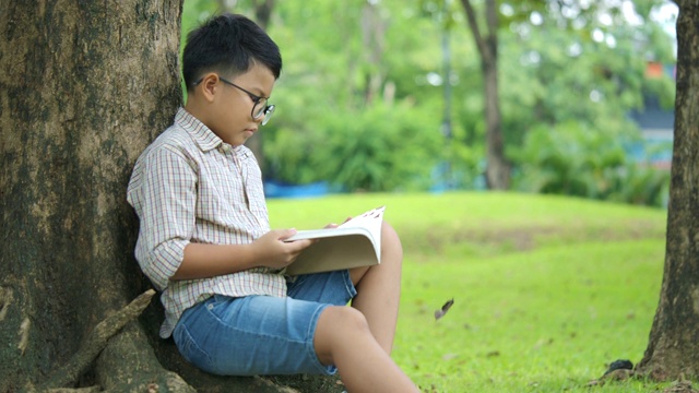 在一个阳光明媚的日子里，一个小男孩坐在树下，看着树叶从树上飘落的慢镜头看书。