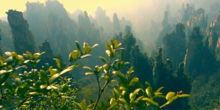 张家界国家公园,中国