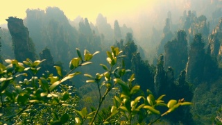 张家界国家公园,中国视频素材模板下载