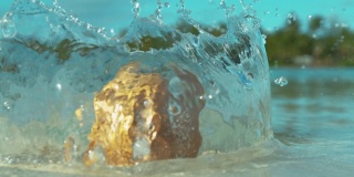 MACRO:在海滩上着陆后，透明的水溅在棕色椰子周围。