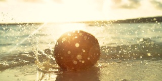 镜头光晕:在田园诗般的阳光明媚的夜晚，棕色的椰子落入浅海中。