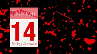 日历上的页面在2月14日停下，上面写着丹麦语的情人节问候视频素材模板下载