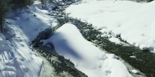 倾斜向上的镜头，一个流动的溪流通过雪谷景观包围在森林在冬天在圣胡安山脉(落基山脉)外奥雷，科罗拉多州在一个阳光明媚的日子
