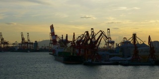 日落之光深圳著名港口湾起重机慢镜头全景4k中国