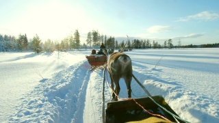 驯鹿雪橇之旅视频素材模板下载