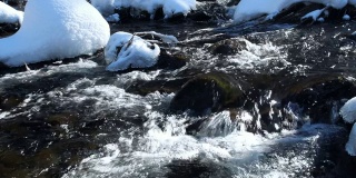 北海道森林小溪降雪