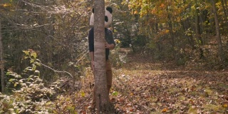 戴着熊猫头面具的男子从公园或森林的一棵树后面探出头来