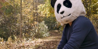 悲伤的熊猫坐在外面的公园或森林哭泣和擦眼泪