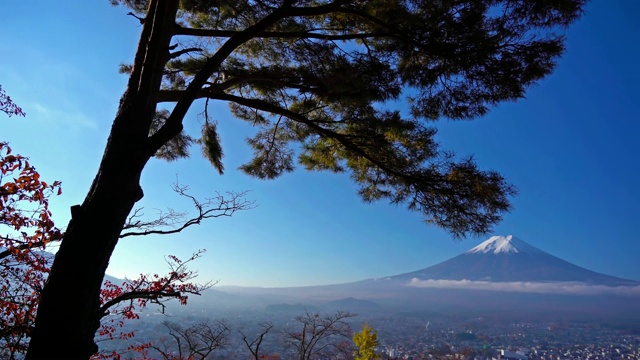 美丽的富士山与枫树在秋天的日本