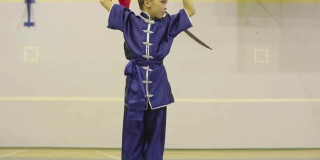 少年穿着传统服装练武术，用剑练长拳