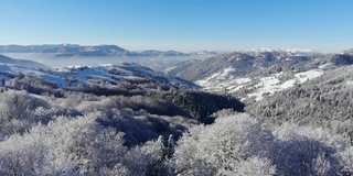 山里的冬天。冬季森林从鸟瞰。山上的树被白雪覆盖。蓝色的天空。用四轴飞行器拍摄。