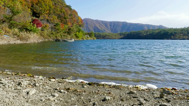 美丽的富士山与枫树在秋天的日本