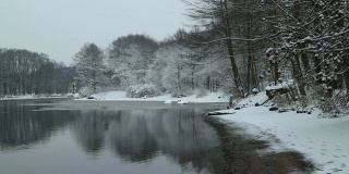 冬天的风景树被雪覆盖