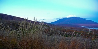 美丽的富士山与枫树在秋天的日本