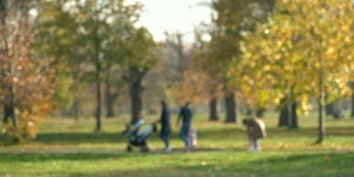 在英国伦敦的秋天公园森林里，一家人带着婴儿车散步
