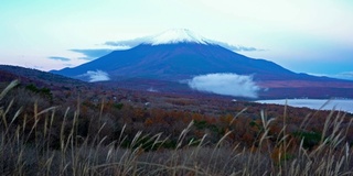 美丽的富士山与枫树在秋天的日本