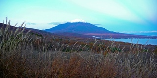 美丽的富士山与枫树在秋天的日本