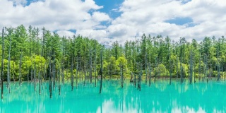 时光流逝美丽的蓝色池塘(aoilike)与反射云和蓝天在北，日本北海道