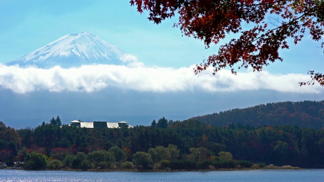 美丽的富士山与枫树在秋天的日本