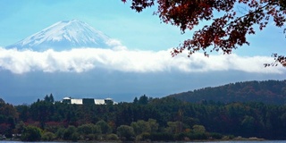 美丽的富士山与枫树在秋天的日本