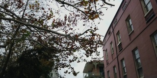 新奥尔良市中心的法国区住宅楼在阴天下的一天