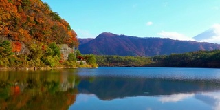 美丽的富士山与枫树在秋天的日本