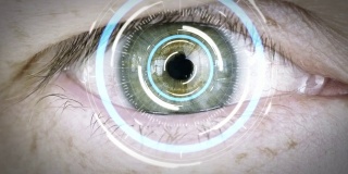 对男性眼球进行虹膜或视网膜扫描