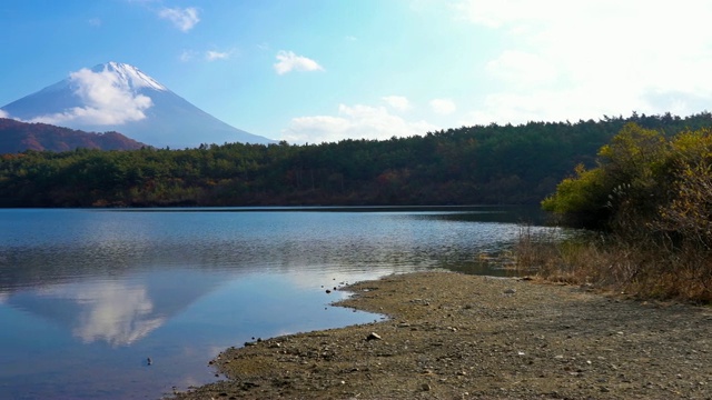 美丽的富士山与枫树在秋天的日本