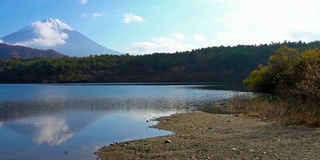 美丽的富士山与枫树在秋天的日本