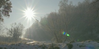 清晨的太阳在公园山Kraljevica在塞尔维亚东部4K 3840X2160超高清视频-太阳在森林清晨4K 2160p超高清视频