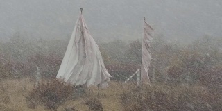 中国甘肃甘南州，冬季降雪期间，佛教经幡在风中摇曳。旗帜在严冬的暴风雪中疯狂地飘扬。