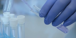 科学家在实验室分析样本，以收集DNA和分子。在实验室中进行科学研究的研究人员分析，dna，生物，微生物，研究，医药