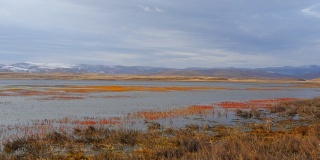 中国甘肃甘南尕海国家级自然保护区公园，宁静的湖水和五彩缤纷的植物在秋天，雪山和多云的天空背景美丽的风景。