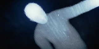 人体落在冰面上。数字动画背景。3 d渲染。4K，超高清分辨率