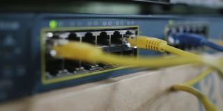 网络电缆插入网络交换机的详细信息